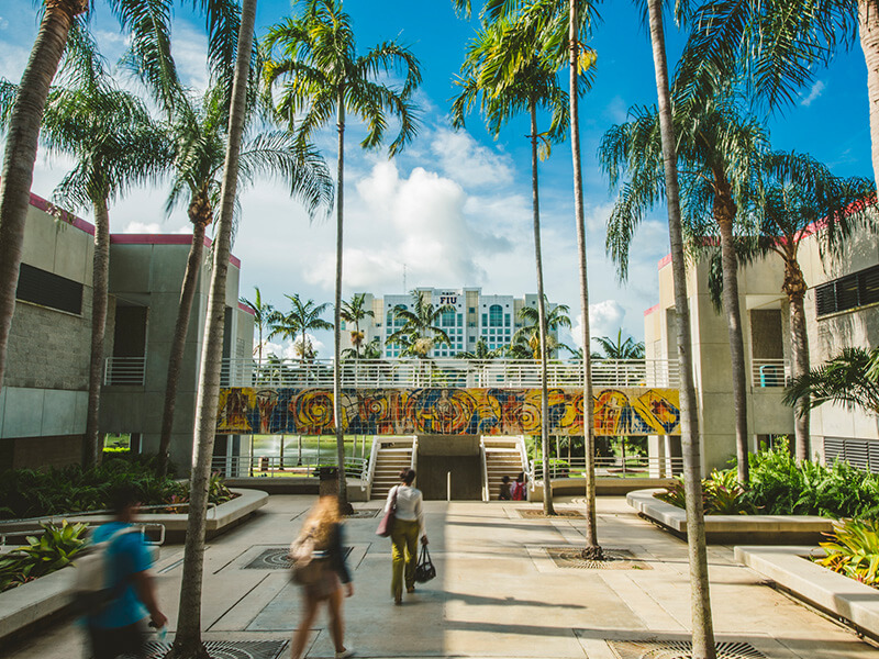 View of the Green Library from the CASE building